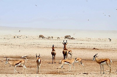 8 Day tour to Namibia - R19 950