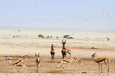 8 Day tour to Namibia