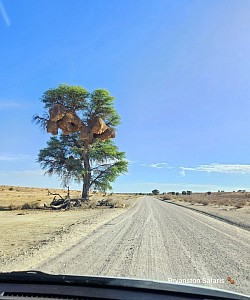 Kgalagadi