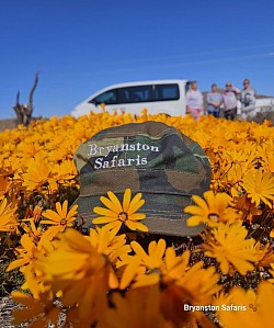 Namaqualand