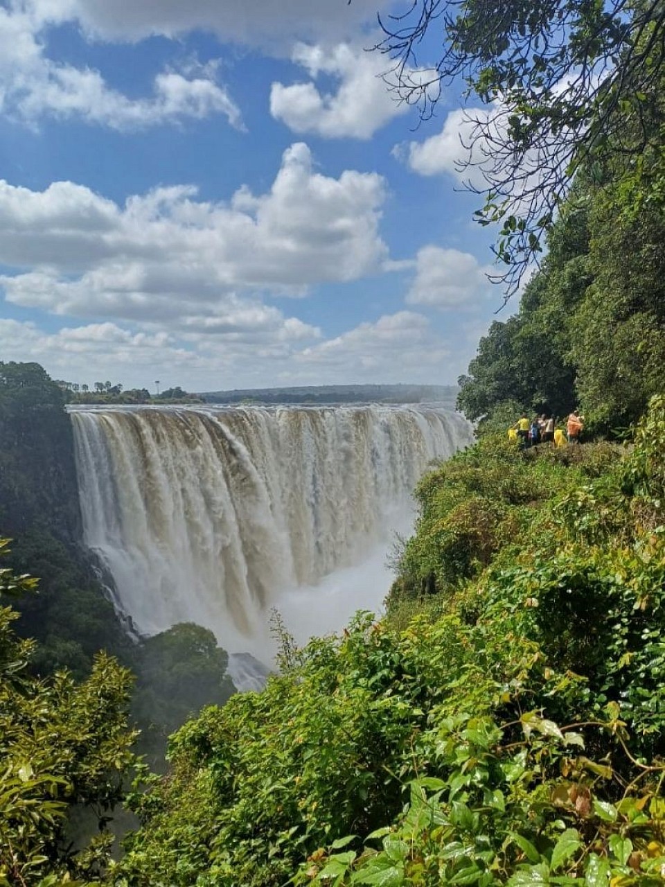 Victoria Falls