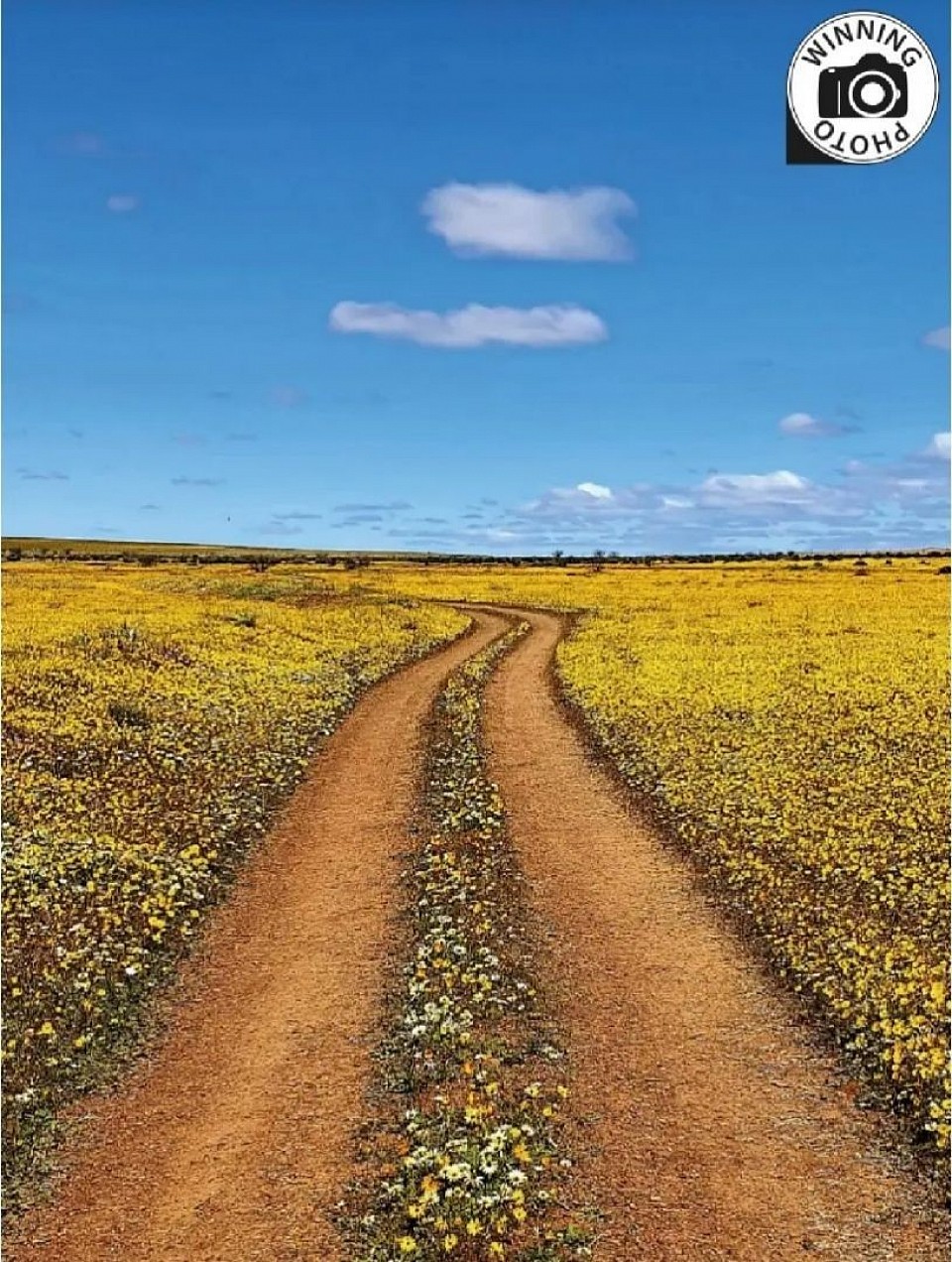 Only 2 spaces available