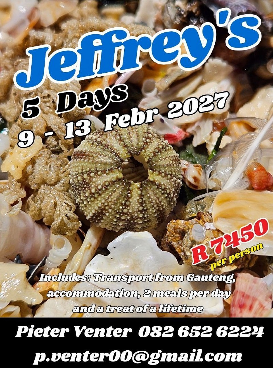 Only 2 spaces available